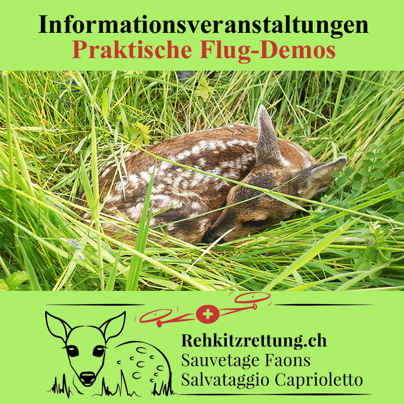 Rehkitzrettung mit Wärmebilddrohne